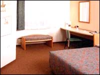 Ibis, Heidelberg
